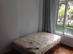 Cavendish Park (D21), Condominium #1047142